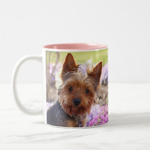 Yorkshire Terrier Zweifarbige Tasse