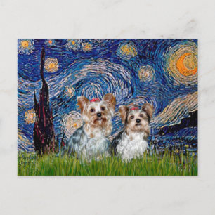 Yorkshire Terriers (13 und 15) - Starry Night Postkarte