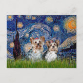 Yorkshire Terriers (13 und 15) - Starry Night Postkarte (Vorderseite)