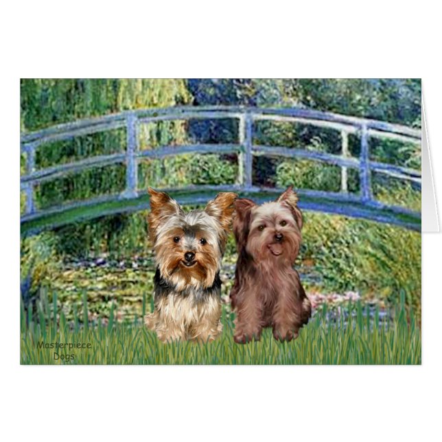 Yorkshire Terriers (17-18) - Bridge (Vorderseite (Horizontal))
