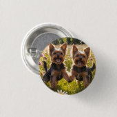 Yorkshire Terriers spielen im Gras Button (Vorne & Hinten)