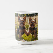 Yorkshire Terriers spielen im Gras Kaffeetasse (Mittel)