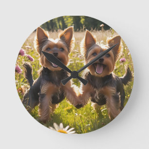 Yorkshire Terriers spielen im Gras Runde Wanduhr