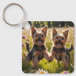 Yorkshire Terriers spielen im Gras Schlüsselanhänger