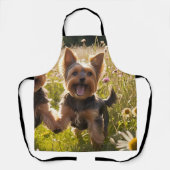 Yorkshire Terriers spielen im Gras Schürze (Vorderseite)
