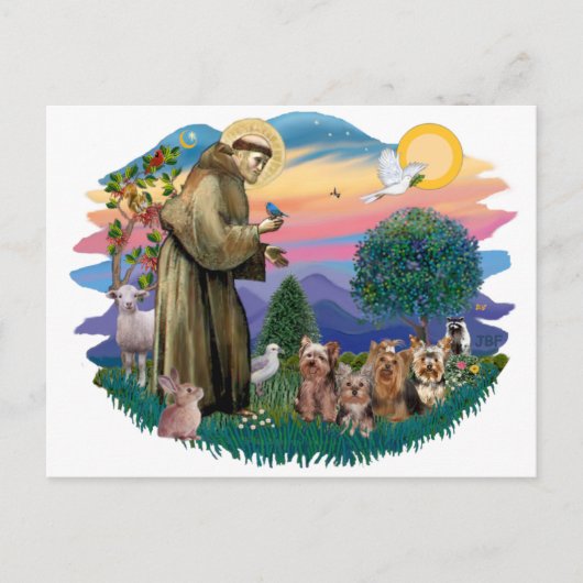 Yorkshire Terriers (vier) Postkarte (Vorderseite)