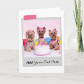 Yorkshire Terriers Yorkies Birthday Cake Funny Karte (Vorderseite)