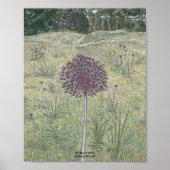 Yorktown Onion Poster (Vorne)