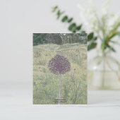 Yorktown Onion Postkarte (Stehend Vorderseite)