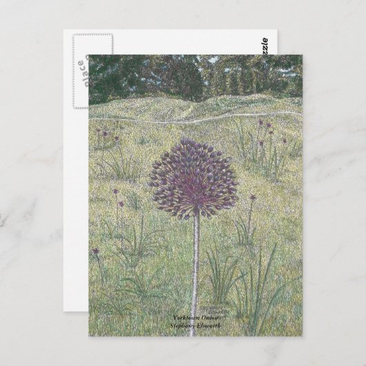 Yorktown Onion Postkarte (Vorne/Hinten)