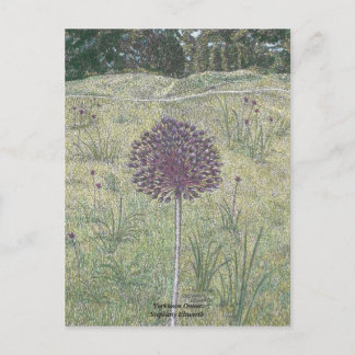 Yorktown Onion Postkarte