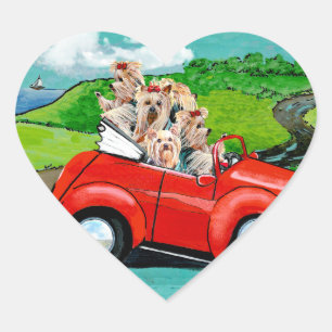 Yorkys in roten Werbeklebern Herz-Aufkleber