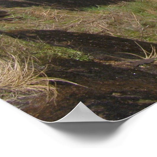 Yosemit (Wasser) Poster (Ecke)