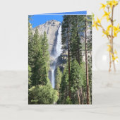 Yosemite 2024 karte (Gelbe Blume)