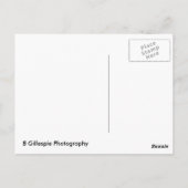 Yosemite Cascade Falls Postkarte (Rückseite)