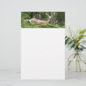 Yosemite Deer Nature Fotografy Briefpapier (Stehend Vorderseite)