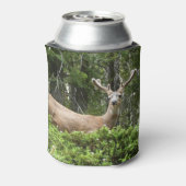 Yosemite Deer Nature Fotografy Dosenkühler (Kanne Rückseite)