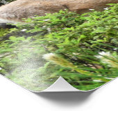 Yosemite Deer Nature Fotografy Fotodruck (Ecke)