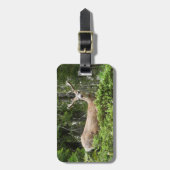 Yosemite Deer Nature Fotografy Gepäckanhänger (Vorderseite vertikal)
