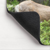 Yosemite Deer Nature Fotografy Mousepad (Ecke)