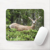 Yosemite Deer Nature Fotografy Mousepad (Mit Mouse)