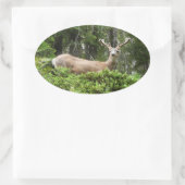 Yosemite Deer Nature Fotografy Ovaler Aufkleber (Tasche)