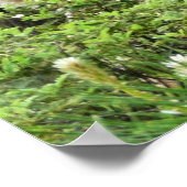 Yosemite Deer Nature Fotografy Poster (Ecke)