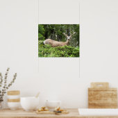 Yosemite Deer Nature Fotografy Poster (Küche)