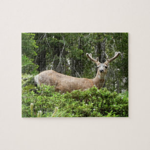 Yosemite Deer Nature Fotografy Puzzle