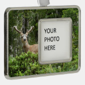 Yosemite Deer Nature Fotografy Rahmen-Ornament Silber (Rechts)