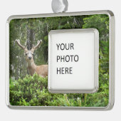 Yosemite Deer Nature Fotografy Rahmen-Ornament Silber (Links)