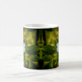 Yosemite Dogwood Tasse (Mittel)