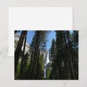 Yosemite Falls and Woods Landscape Fotografy (Vorne/Hinten)