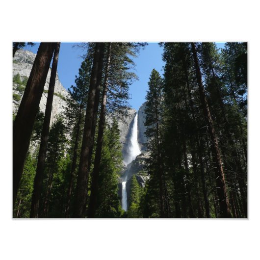 Yosemite Falls and Woods Landscape Fotografy Fotodruck (Vorne)