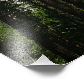 Yosemite Falls and Woods Landscape Fotografy Fotodruck (Ecke)