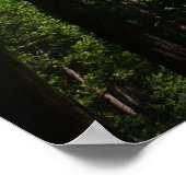 Yosemite Falls and Woods Landscape Fotografy Poster (Ecke)