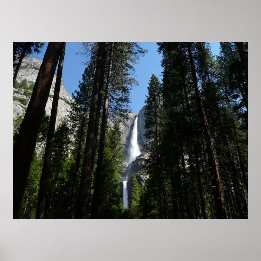 Yosemite Falls and Woods Landscape Fotografy Poster (Vorne)