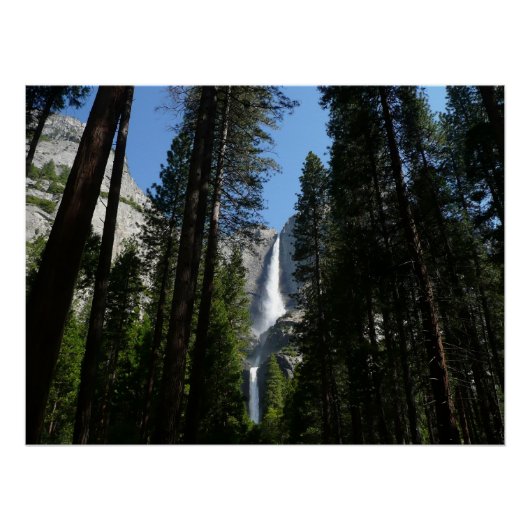 Yosemite Falls and Woods Landscape Fotografy Poster (Vorderseite)