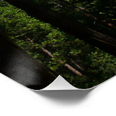 Yosemite Falls and Woods Landscape Fotografy Poster (Ecke)