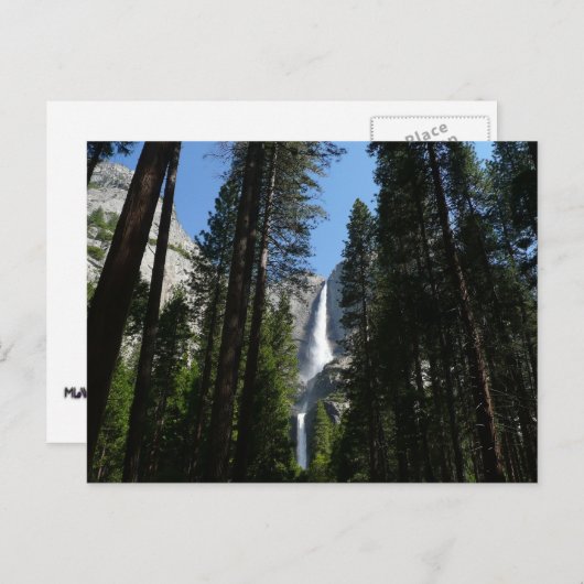 Yosemite Falls and Woods Landscape Fotografy Postkarte (Vorne/Hinten)