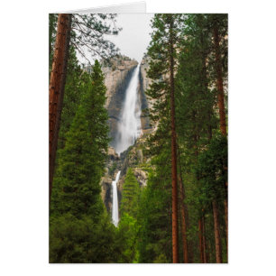 Yosemite Falls durch den Wald
