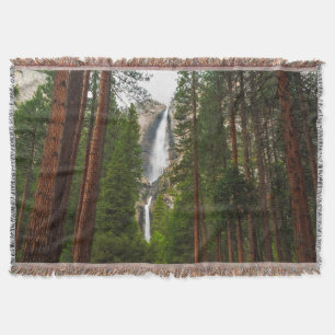 Yosemite Falls durch den Wald Decke