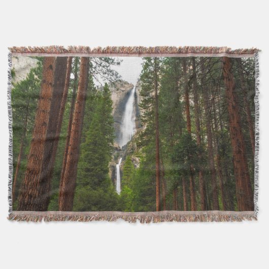 Yosemite Falls durch den Wald Decke (Vorderseite)