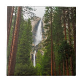 Yosemite Falls durch den Wald Fliese (Vorderseite)