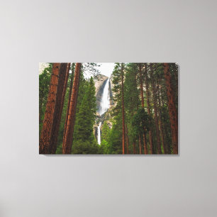 Yosemite Falls durch den Wald Leinwanddruck