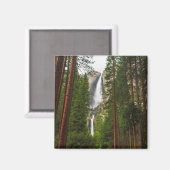 Yosemite Falls durch den Wald Magnet (Vorderseite/Rückseite)