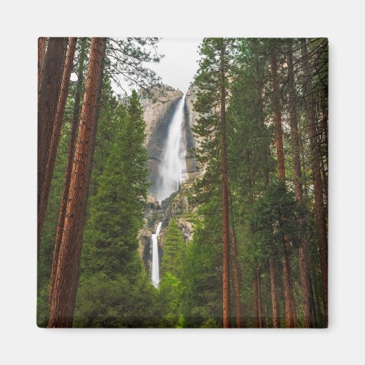 Yosemite Falls durch den Wald Magnet (Vorne)
