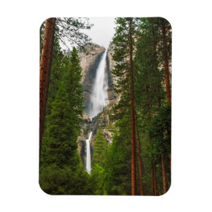 Yosemite Falls durch den Wald Magnet