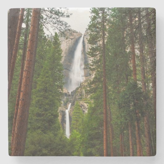 Yosemite Falls durch den Wald Steinuntersetzer (Vorderseite)