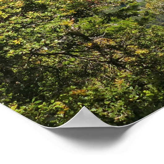 Yosemite Falls from Four Mile Trail Poster (Ecke)